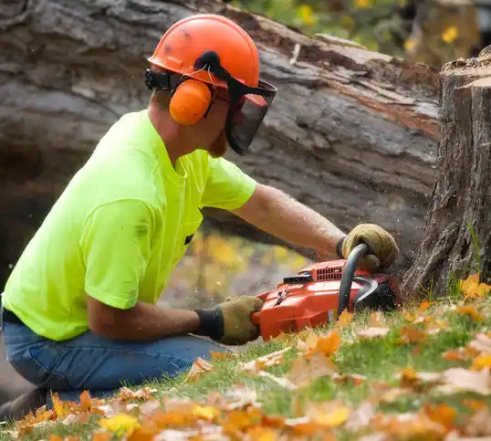 tree services Jefferson